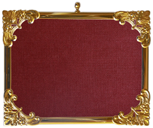 polymers plus miniature frames